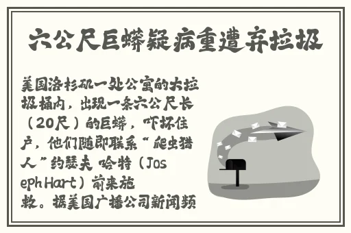 66m66成长模式视频大陆4